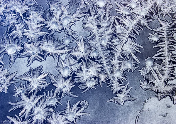 Ornaments on a frozen window like marine plants