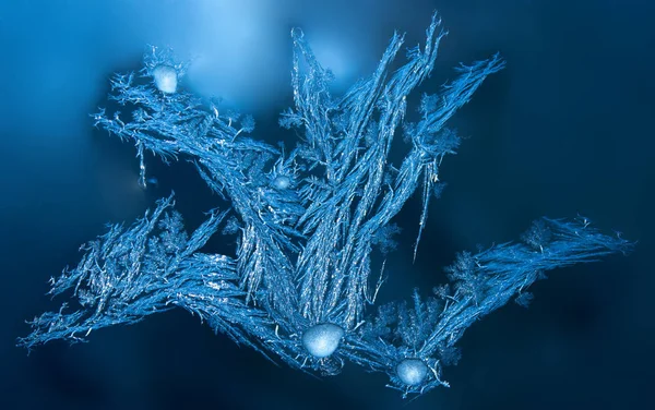 En frost på fönstret som en flygande drake i blått — Stockfoto