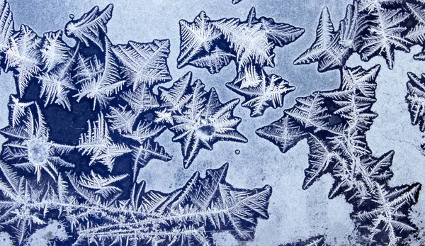 Ornamentos em uma janela congelada como estrelas do mar (3 ) — Fotografia de Stock