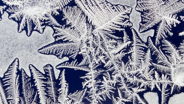 Παγετός στο παράθυρο - όμορφα στολίδια σε μπλε (2 — Φωτογραφία Αρχείου