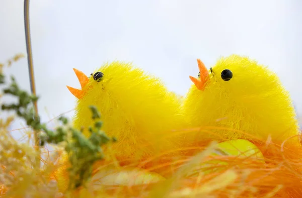 Ozdoby wielkanocne - kurczaki z jaj — Zdjęcie stockowe