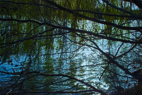 Отражение солнца на поверхности воды — стоковое фото