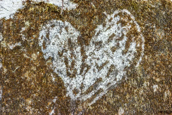 Coeur Mousse Sur Une Pierre Dans Forêt — Photo