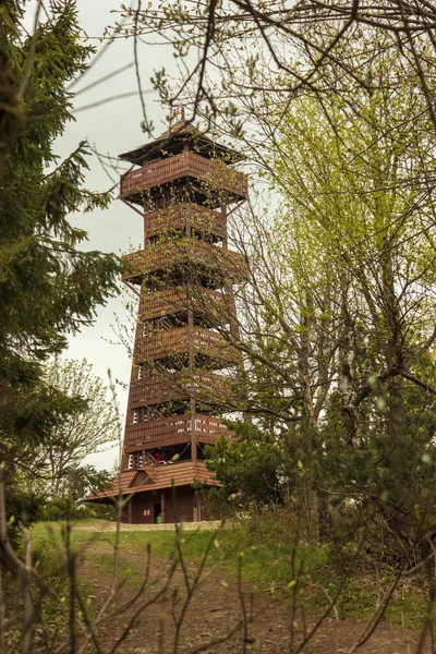 Drewniana Wieża Widokowa Szczycie Aksamitnego Javornika Beskydy Górach Czechach Obraz Stockowy