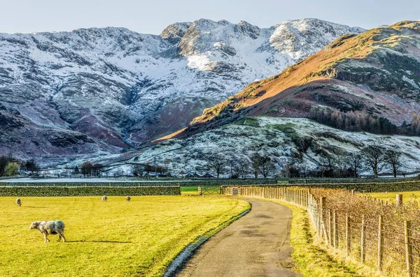 Crinkle скель в Langdale — стокове фото