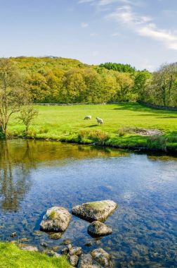 Kayalar ön planda ve ormanlık uzaktan Kent Staveley, Cumbria yakınındaki Nehri.