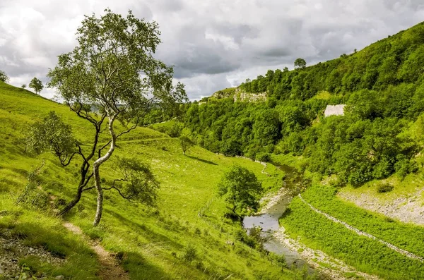 Smardale Gill, Cumbria látképe. — Stock Fotó