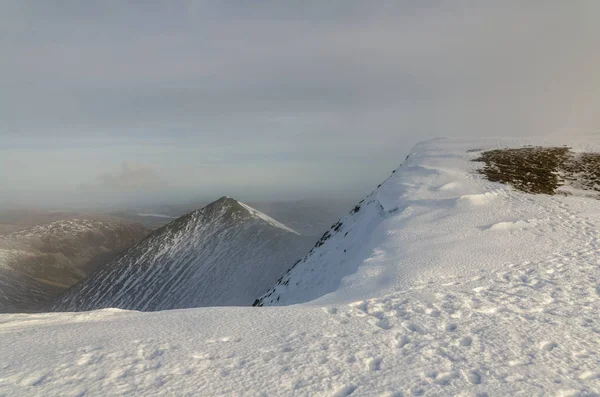 Catsty Cam na neve e névoa — Fotografia de Stock