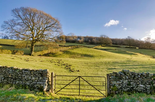 A gate in a dry stone wall — Stock Photo, Image