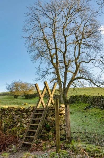 A ladder stile leading in to a field with a tree — Stock Photo, Image