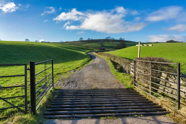 Un cancello aperto e una griglia di bestiame che conduce ad una pista di campagna — Foto Stock