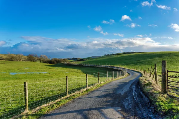 Un sinuoso sendero rural que pasa por campos verdes . — Foto de Stock