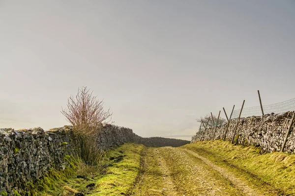 A path between drystone walls in the Yorkshire Dales. — Stock Photo, Image