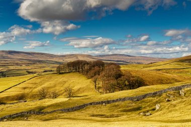 Tepeler ve tarım arazileri ile tipik Yorkshire Dales sahne.