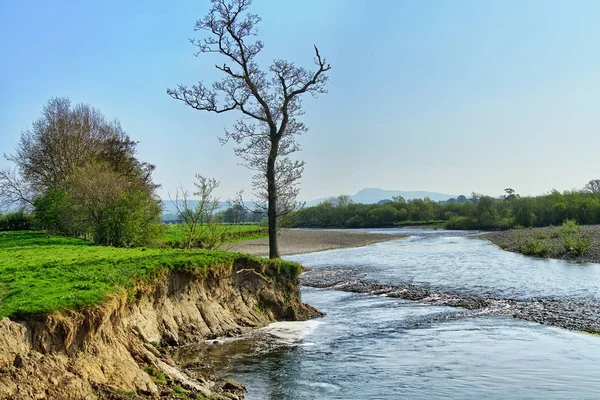En naturskön del av floden Lune nära Lancaster. — Stockfoto