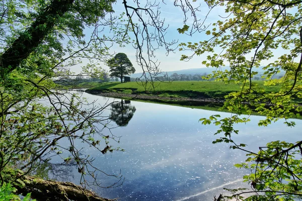 Una vista del fiume Lune nel Lancashire attraverso foglie vivaci e sulit — Foto Stock