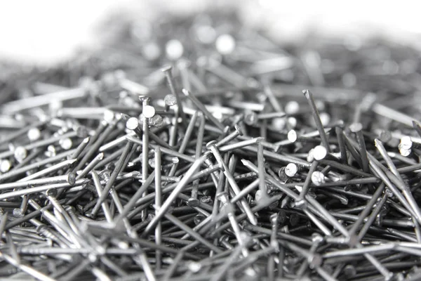 Beyaz çelik çivi kadar kapatın