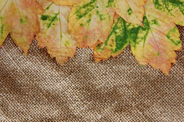 Fond d'automne, feuilles séchées sur toile de jute — Photo