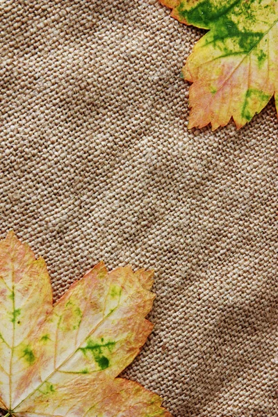 Осенний фон, сухие листья на мешковине — стоковое фото