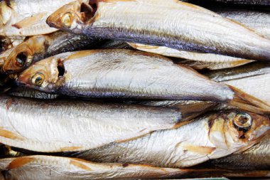 Baltık füme balık portre