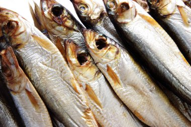 Baltık füme balık portre