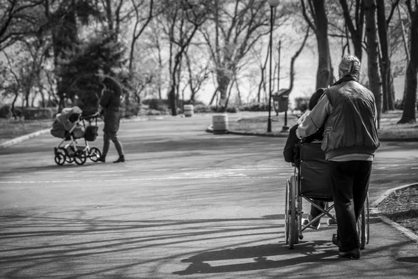 Woman Pushing Wheelchair Man City Park Confronted Mother Pushing Baby — Stock Photo, Image