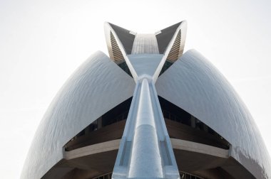 akvaryum Valencia, İspanya.