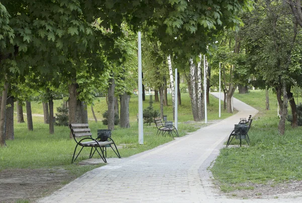 Wooden Benches City Summer Park Cobbled Path — Stock Photo, Image