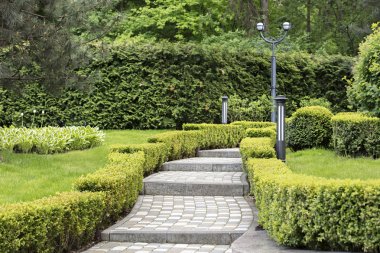 Güzel bir parkta yamultulmuş çalılar tarafından çerçeveli Arnavut kaldırımlı basamaklı iz