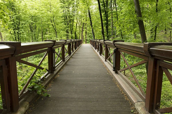 Een nieuwe grote brede houten brug in het park, over de kloof — Stockfoto