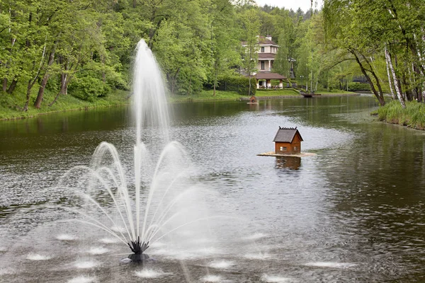 Fontein in het midden van de vijver en zwevende eend woningen in het pittoreske park — Stockfoto