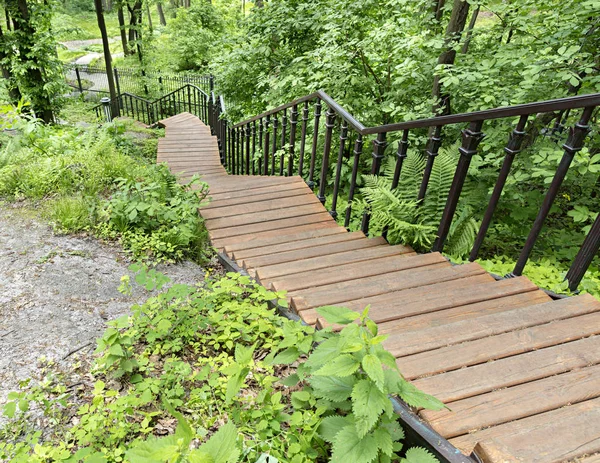 木立の中の木製の階段、公園のパスがダウン スロープ — ストック写真