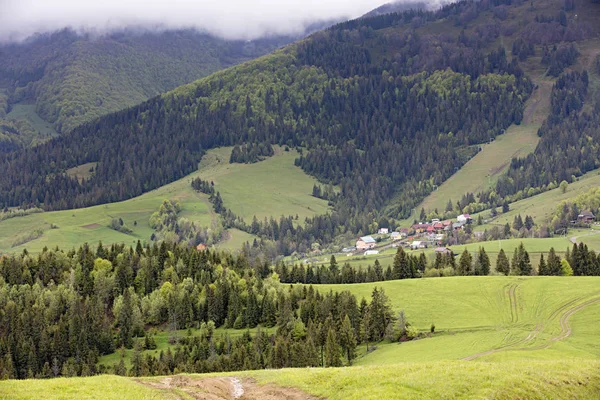 Karpaten. Berglandschap. Dorp in de vallei tussen de naaldbossen — Stockfoto