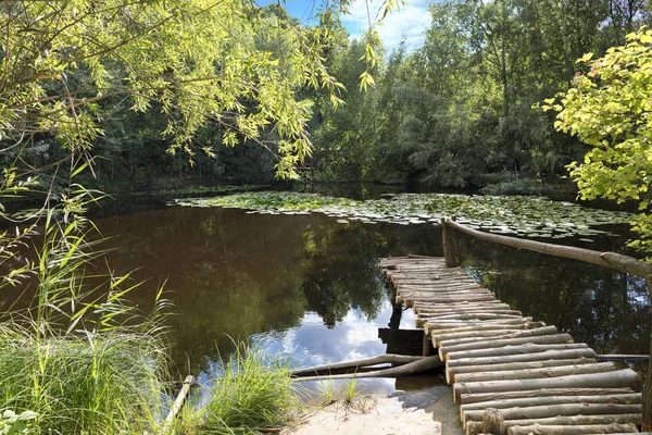 고체에서 작은 목재 부두 여름 연못에 로그온 — 스톡 사진