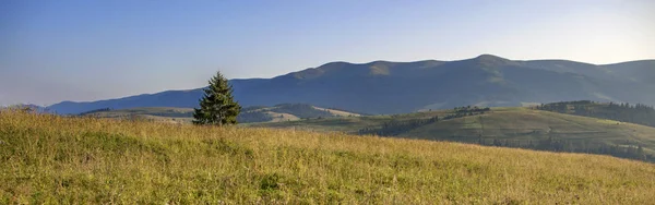 Nyáron a reggeli nap sugaraiban a Kárpát-hegység gyönyörű panoráma. — Stock Fotó