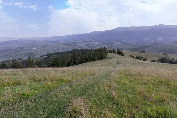 Prachtige landschap van de Karpaten en de weg langs de berg heuvel — Stockfoto