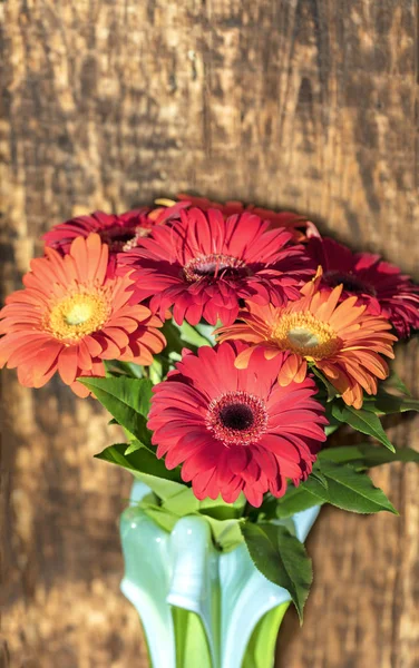 Bellissimo bouquet di gerbere in un vaso di vetro colorato sullo sfondo di una vecchia parete di legno vintage — Foto Stock