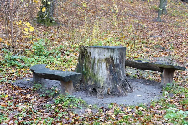 Nella Radura Della Foresta Sono Ceppi Usati Come Tavolo Panche — Foto Stock