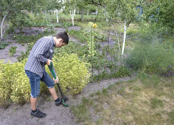 一个年轻人在花园里做季节性的工作。 — 图库照片