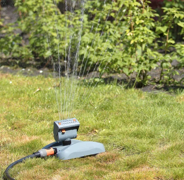 Oscilante riego del jardín y el césped en el jardín de verano durante el día —  Fotos de Stock