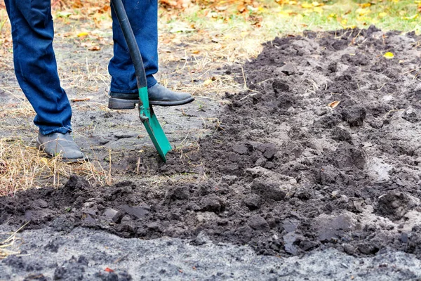 Un contadino scava il terreno dopo l'inverno per piantare verdure nell'orto. . — Foto Stock