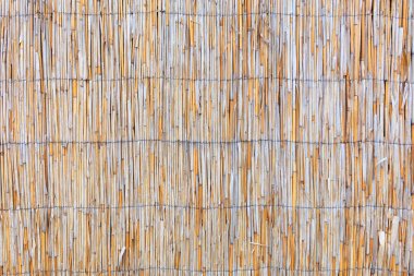 Old weathered cane background and texture closeup.