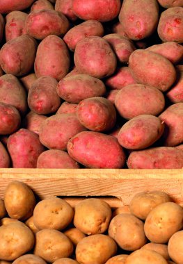 Piyasadaki kırmızı ve beyaz olgun patates çeşitlerinin dokusu ve arkaplanı..
