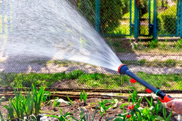 Farmer Watering Flowerbed Garden Bright Spring Day — Stock Photo, Image