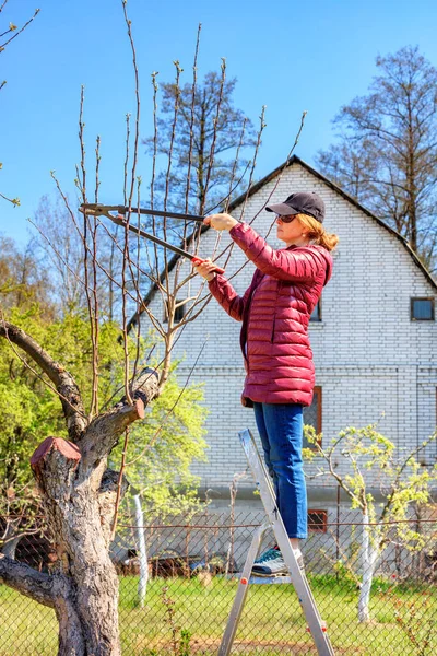 Zahradník Dřepící Bobku Zavlažuje Růžový Keř Pod Kořenovým Systémem Rostliny — Stock fotografie