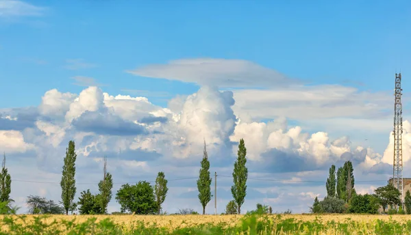 Bujne Biało Szare Chmury Pięknie Położone Błękitnym Niebie Nad Polem — Zdjęcie stockowe
