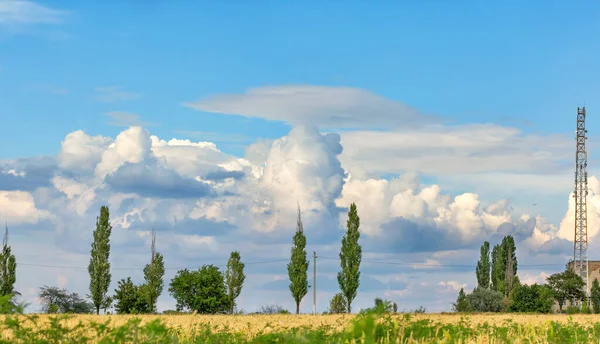 Bereketli Beyaz Gri Bulutlar Güzel Bir Şekilde Mavi Gökyüzünde Buğday — Stok fotoğraf