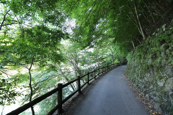 Pasarela japonesa en verde Árboles de jardín —  Fotos de Stock