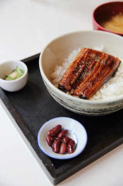 Unagi don, pirinç, yılan balığı ızgara Japon yemekleri