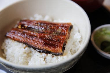 Unagi don, pirinç, yılan balığı ızgara Japon yemekleri